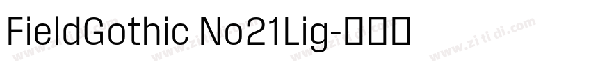 FieldGothic No21Lig字体转换